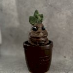 Лавка ручных работ